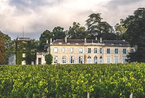 Photo du domaine partenaire Château du Taillan