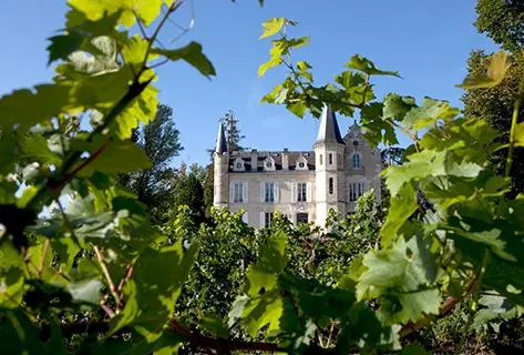 Photo du domaine partenaire Château Haut-Bergey