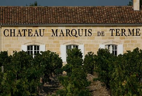 Photo du domaine partenaire Château Marquis de Terme