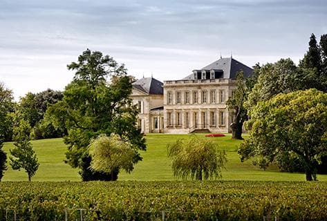 Photo du domaine partenaire Château Phélan Ségur