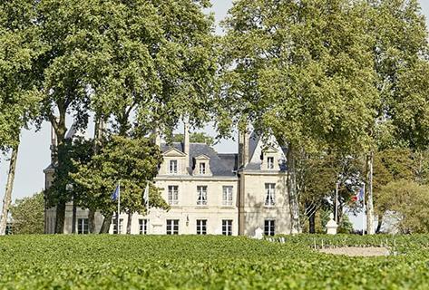 Château Pichon Longueville Comtesse de Lalande - 1