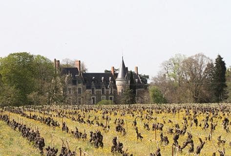 Photo du domaine partenaire Domaine de l'Ecu