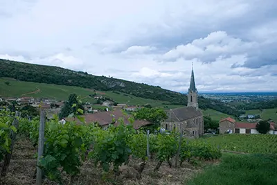 Photo du domaine partenaire Guffens Heynen