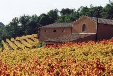 Photo du domaine partenaire Mas Champart