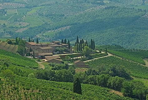 Photo du domaine partenaire Querciabella