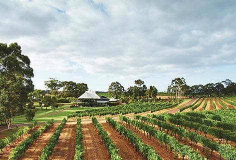 Photo du domaine partenaire Vasse Felix