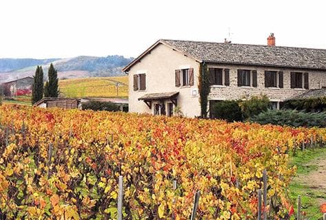 Photo du domaine partenaire Yann Bertrand