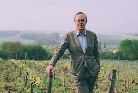 Photo du domaine partenaire Louis Roederer