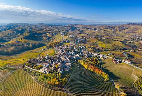 Photo du domaine partenaire Vietti