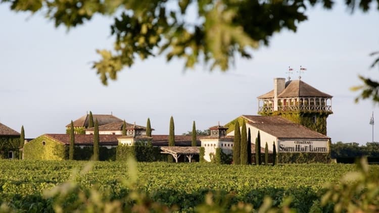 château smith haut lafitte vineyard