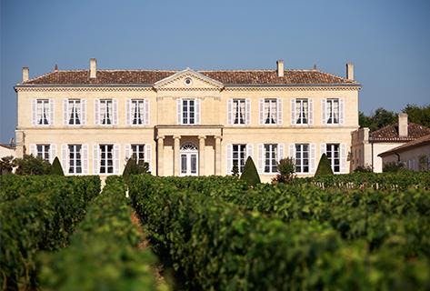 Photo du domaine partenaire Château Branaire Ducru