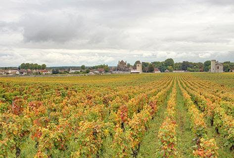 Photo du domaine partenaire Geantet-Pansiot