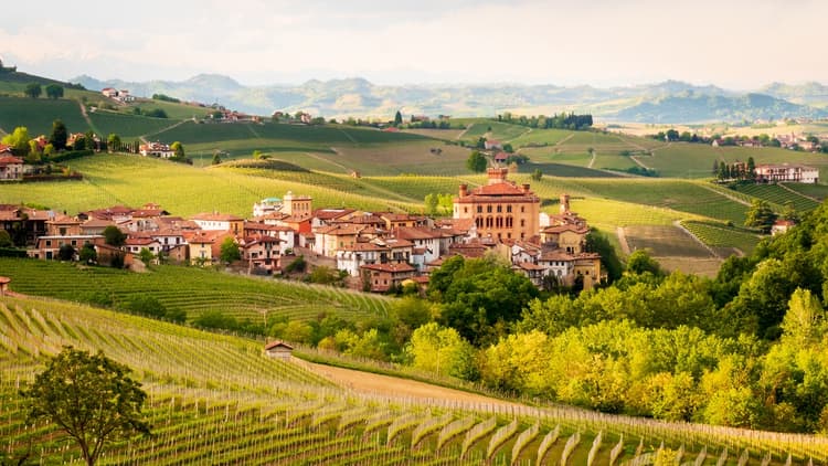 Barolo landscape