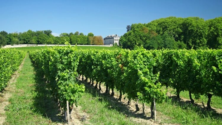 BORDEAUX-TOP-20-des-vins-les-plus-chers-aux-encheres-1er-semestre-2024-1200