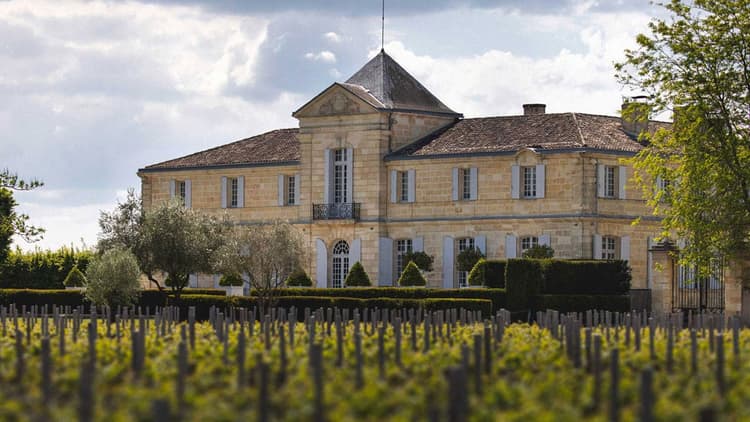 château du tertre margaux © Château du Tertre