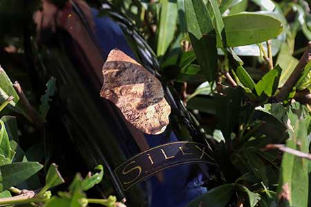 Vente de vin record, Pouilly Fumé Silex Dagueneau 1996