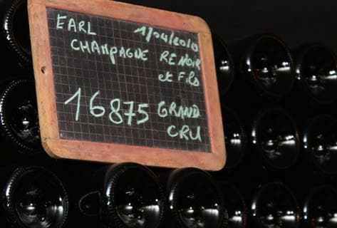 Photo du domaine partenaire Adrien Renoir