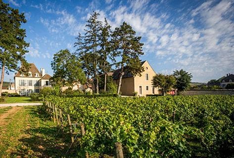 Photo du domaine partenaire Albert Bichot