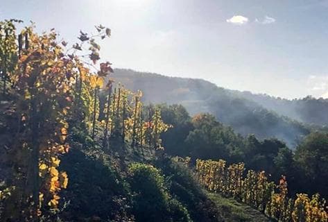 Photo du domaine partenaire Aléofane