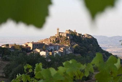 Photo du domaine partenaire Ampeleia