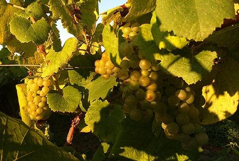 André-Michel Bregeon - 1