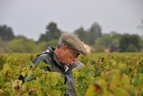 André-Michel Bregeon - 4