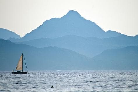 Foto des Partnerweinguts Antoine Arena