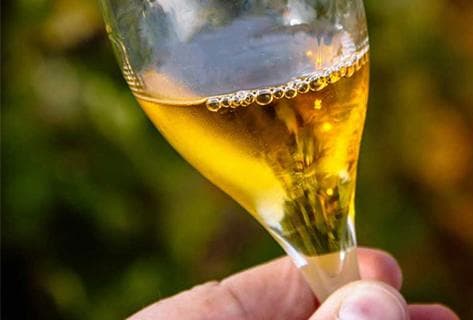 Photo du domaine partenaire Arnaud Lambert