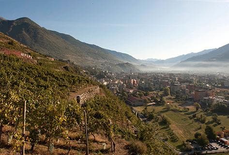 Photo du domaine partenaire Arpepe