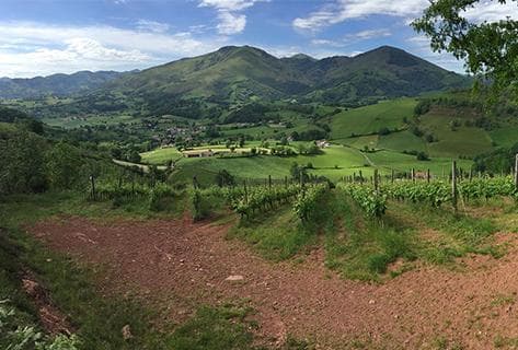 Photo of partner producer Arretxea