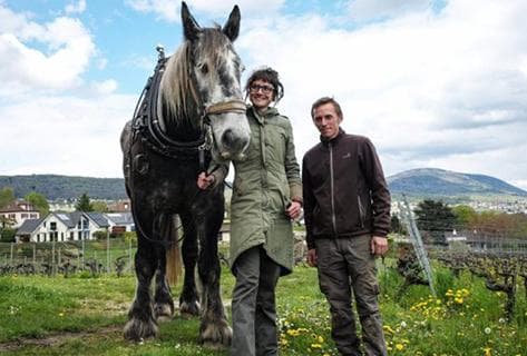 Photo du domaine partenaire Aurélien et Charlotte Houillon
