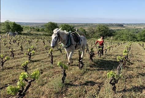Photo du domaine partenaire Aurelles