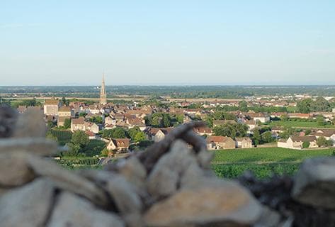 Photo du domaine partenaire Ballot Millot