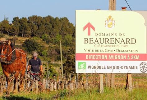 Photo du domaine partenaire Beaurenard