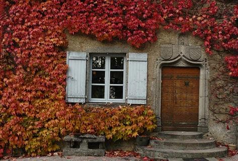Photo du domaine partenaire Berthet-Bondet