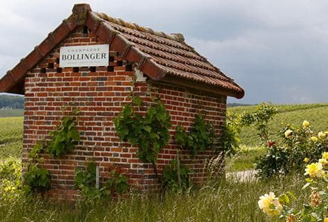 Photo du domaine partenaire Bollinger