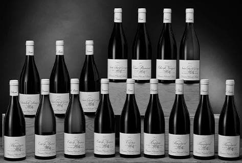 Photo du domaine partenaire Chantal Lescure