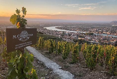 Photo of partner producer Chapoutier