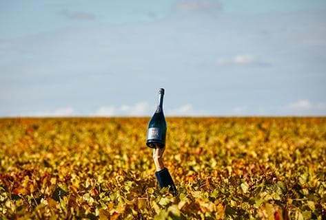 Photo du domaine partenaire Charles Heidsieck