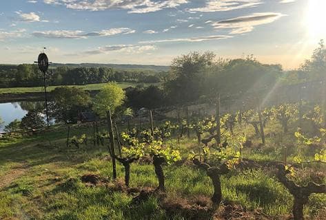 Photo du domaine partenaire Charles Joguet