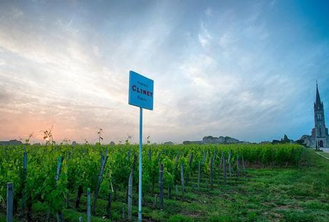 Photo of partner producer Château Clinet