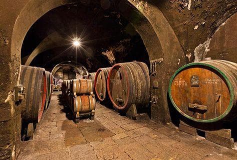 Château d'Arlay - 4