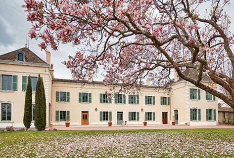 Photo du domaine partenaire Château des Jacques - Louis Jadot