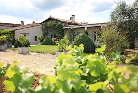 Photo du domaine partenaire Château Doisy Daëne