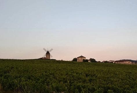 Château du Moulin à Vent - 4