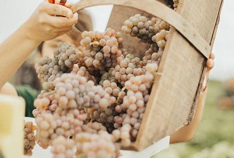 Château Haut Brion - 3