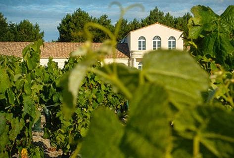 Foto des Partnerweinguts Château Haut Marbuzet