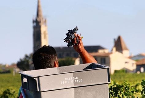 Château Petit Village - 3