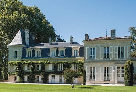 Photo du domaine partenaire Château Saint-Pierre (Saint-Julien)