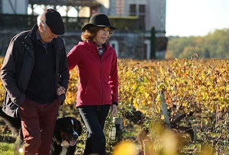 Photo du domaine partenaire Château Smith Haut Lafitte